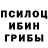 Псилоцибиновые грибы мухоморы Bondar Bohdan