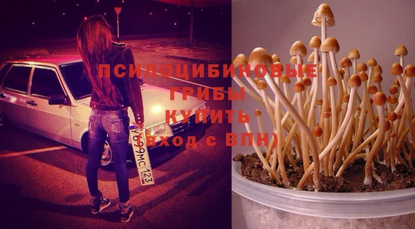 первитин Абаза