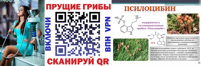 наркошоп  Староминская  Галлюциногенные грибы GOLDEN TEACHER 